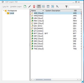 Screenshot of SAP GUI logon pad