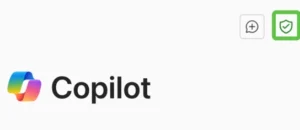 The green shield icon in the top-right corner. This confirms you’re in enterprise-protected mode.